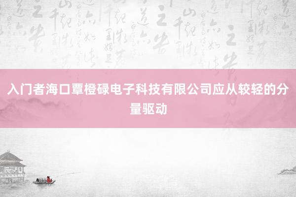 入门者海口覃橙碌电子科技有限公司应从较轻的分量驱动