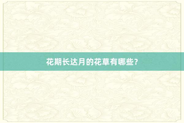 花期长达月的花草有哪些？